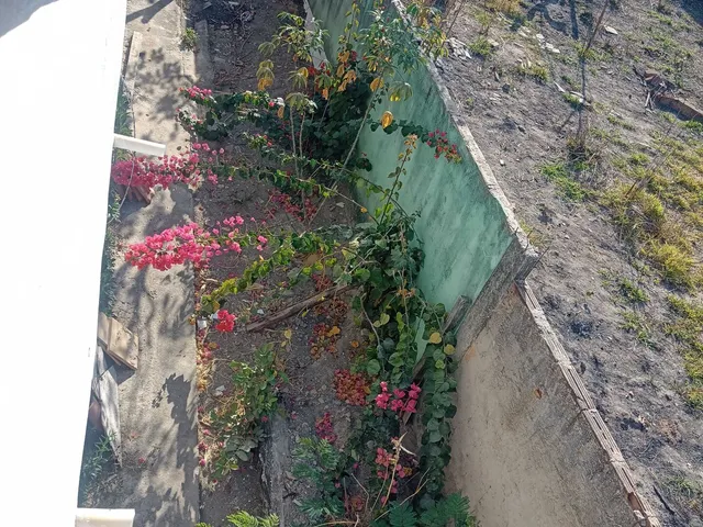 Imagem 15: Sítio em Centro, Esmeraldas/MG