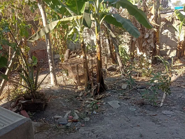 Imagem 7: Sítio em Centro, Esmeraldas/MG