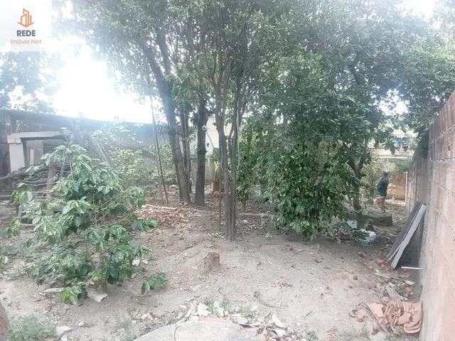 Imagem 10: Casa Padrão Com Quintal