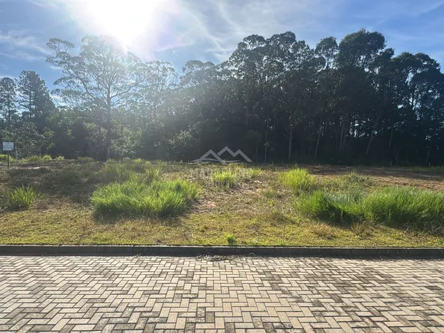 Imagem: Terreno em Loteamento QUINTA DAS PALMEIRAS