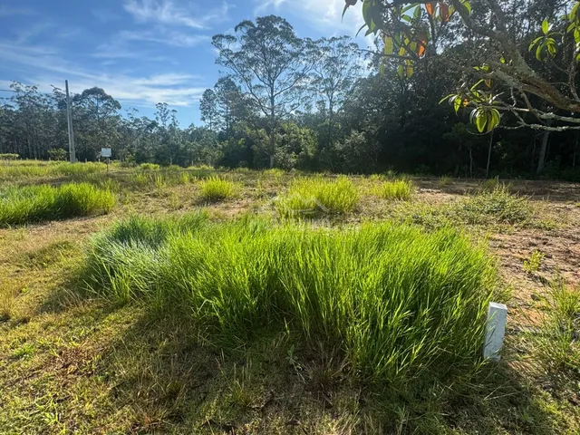 Imagem 6: Terreno em Loteamento QUINTA DAS PALMEIRAS, Garopaba/SC