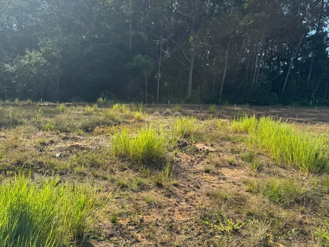 Imagem 4: Terreno em Loteamento QUINTA DAS PALMEIRAS, Garopaba/SC