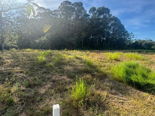 Imagem 2: Terreno em Loteamento QUINTA DAS PALMEIRAS, Garopaba/SC