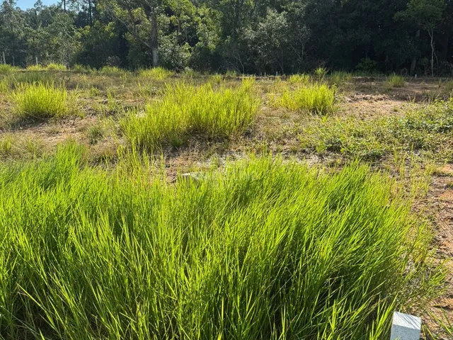 Imagem 5: Terreno em Loteamento QUINTA DAS PALMEIRAS, Garopaba/SC
