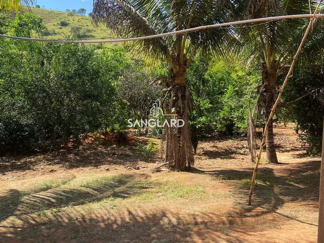 Imagem 16: Chácara em Joanésia com 2,36 hectares: casa, pomar, pasto, curral, nascente e poço de