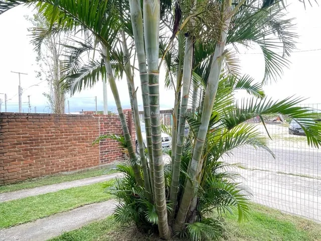 Imagem 7: Casa 2 dormitórios em Capão da Canoa