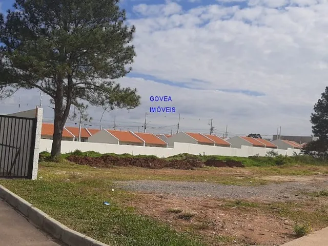 Imagem 3: CASA NOVA 2 E 3 QUARTOS * BANHEIRO ESPECIAL PARA CADEIRANTE, PRONTA ENTREGA, STA