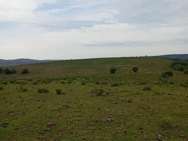Imagem 1: Fazenda com 2 Dormitorio(S) Localizado(A) no Bairro Área Rural de Bagé em Bagé / Rio