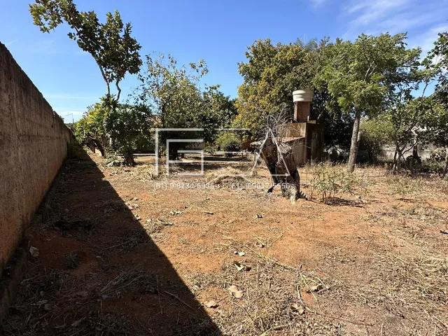 Imagem 16: Casa à Venda: 3 Quartos com Suíte