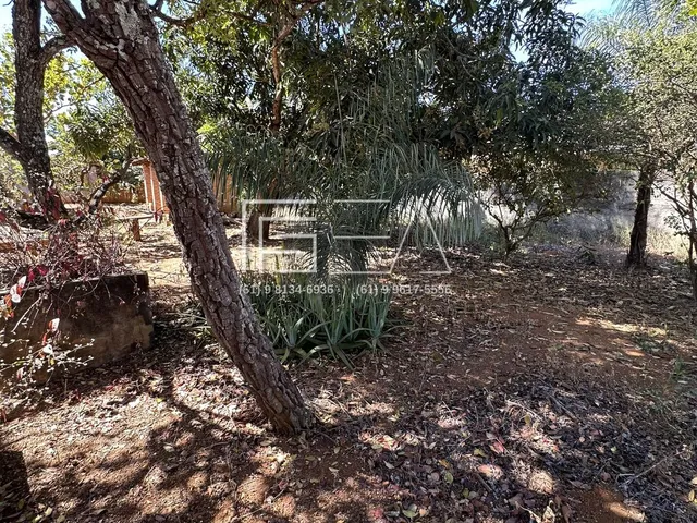 Imagem 5: Casa à Venda: 3 Quartos com Suíte