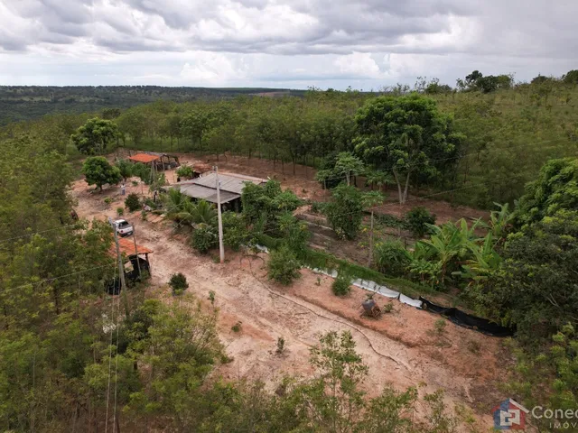 Imagem: Fazenda em Centro, Presidente Olegário/MG