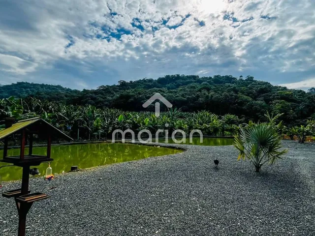Imagem 4: Sítio com 2 quartos, Ribeirão Máximo - Luiz Alves
