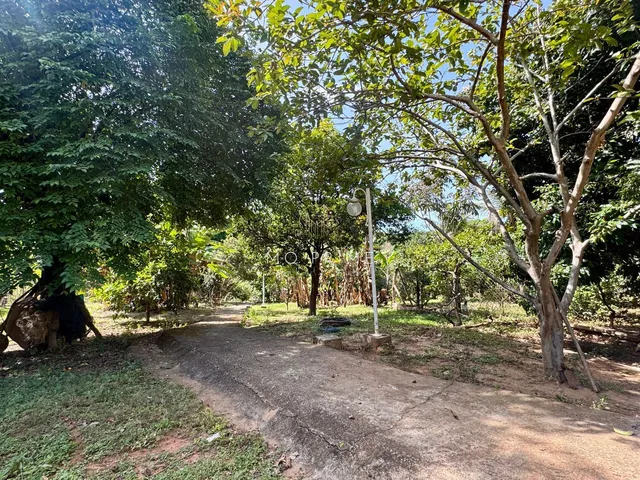 Imagem 10: ? Sítio com 5.000m², nascente e lago de peixes – Um verdadeiro refúgio da cidade!