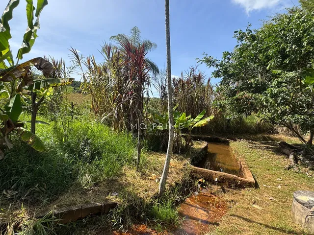 Imagem 5: ? Sítio com 5.000m², nascente e lago de peixes – Um verdadeiro refúgio da cidade!