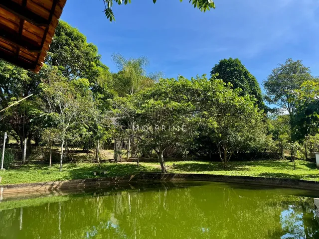 Imagem 11: ? Sítio com 5.000m², nascente e lago de peixes – Um verdadeiro refúgio da cidade!