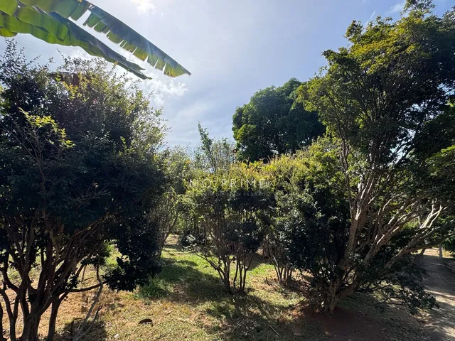 Imagem 14: ? Sítio com 5.000m², nascente e lago de peixes – Um verdadeiro refúgio da cidade!