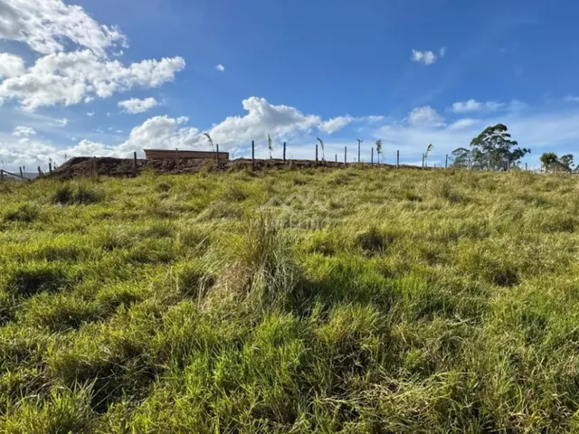 Imagem 8: Sítio com amplo terreno