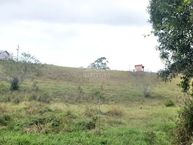 Imagem 14: Sítio com amplo terreno