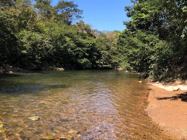 Imagem: Chácara para venda, Porteira fechada, As