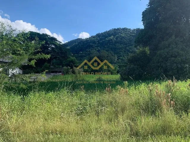 Imagem 11: Lote/Terreno - Testo Rega - Pomerode