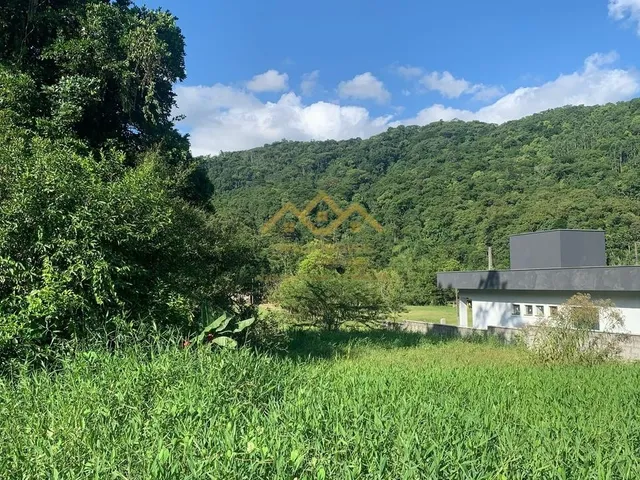 Imagem 5: Lote/Terreno - Testo Rega - Pomerode