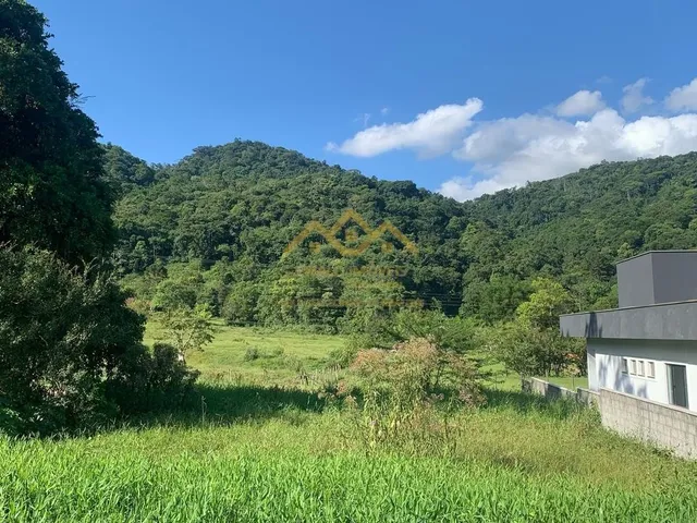 Imagem 6: Lote/Terreno - Testo Rega - Pomerode