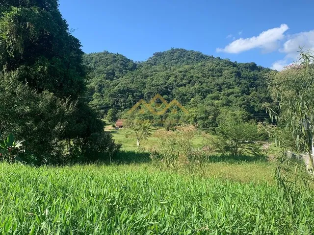 Imagem 8: Lote/Terreno - Testo Rega - Pomerode