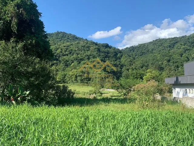 Imagem 9: Lote/Terreno - Testo Rega - Pomerode