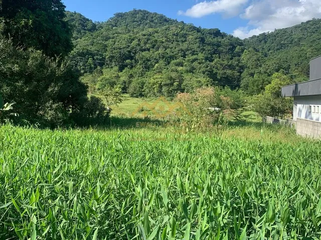 Imagem 10: Lote/Terreno - Testo Rega - Pomerode