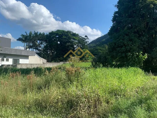 Imagem 13: Lote/Terreno - Testo Rega - Pomerode