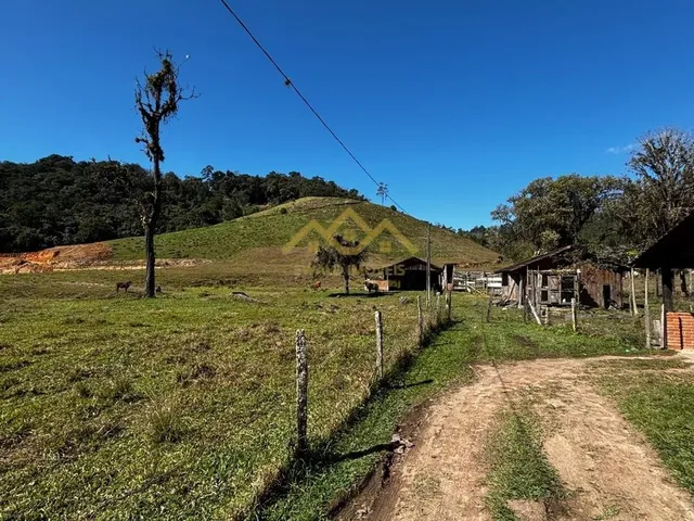 Imagem 9: Sítio - Testo Central Alto - Pomerode