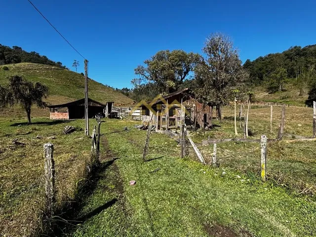 Imagem 11: Sítio - Testo Central Alto - Pomerode