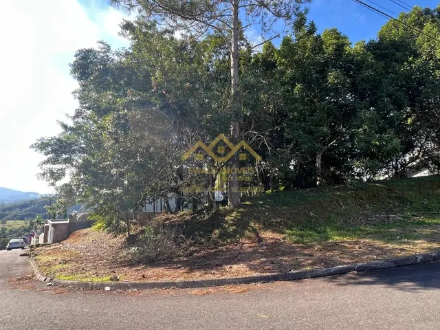 Imagem: Lote/Terreno - Centro - Pomerode