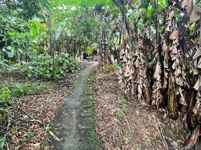 Imagem 6: Sítio - Mulde Central - Timbó