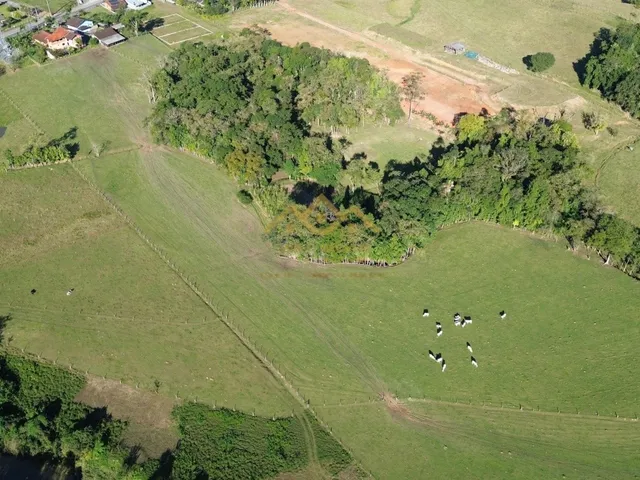Imagem: Lote/Terreno - Testo Central Alto - Pomerode