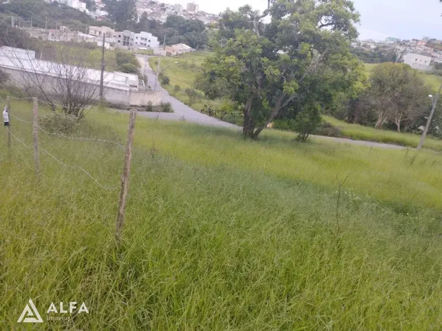 Imagem 3: Lote de 240m² à venda no Campo Belo