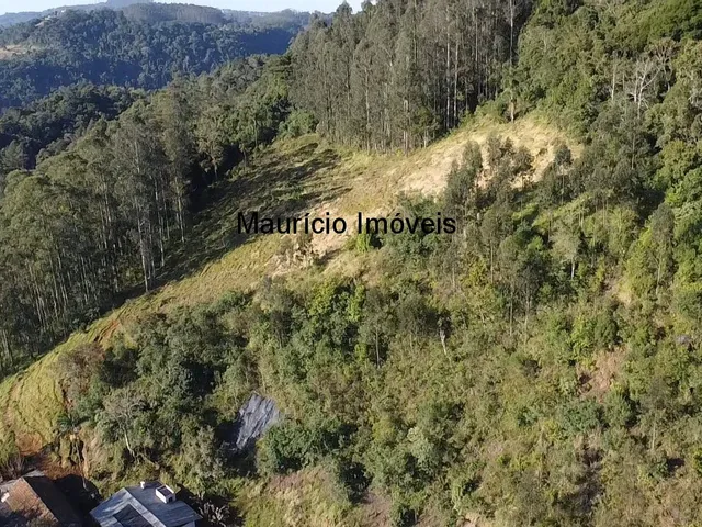 Imagem 7: Sitio com 3,5 hectares na Localidade Ribeirão Alegre, Salete, S.C. com duas casas com