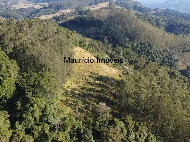 Imagem 3: Sitio com 3,5 hectares na Localidade Ribeirão Alegre, Salete, S.C. com duas casas com