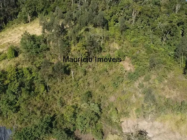 Imagem 9: Sitio com 3,5 hectares na Localidade Ribeirão Alegre, Salete, S.C. com duas casas com