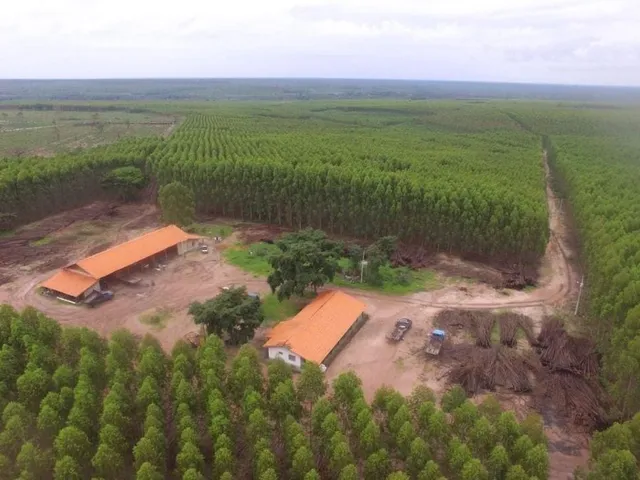 Imagem: Fazenda À Venda por R$ 1.500.000.000