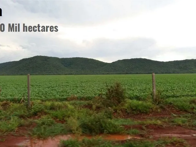 Imagem: A fazenda possui 780.000.000m² de Área e está localizado