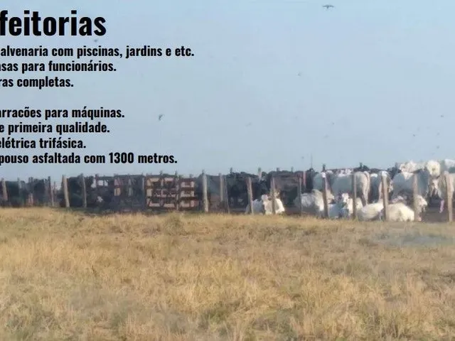 Imagem 2: Fazenda Bodoquena À Venda - Corumbá/Ms