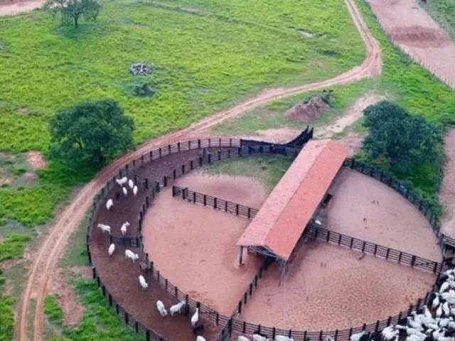 Imagem: Fazenda À Venda, 47720000 M² por R$ 160.000.000,00