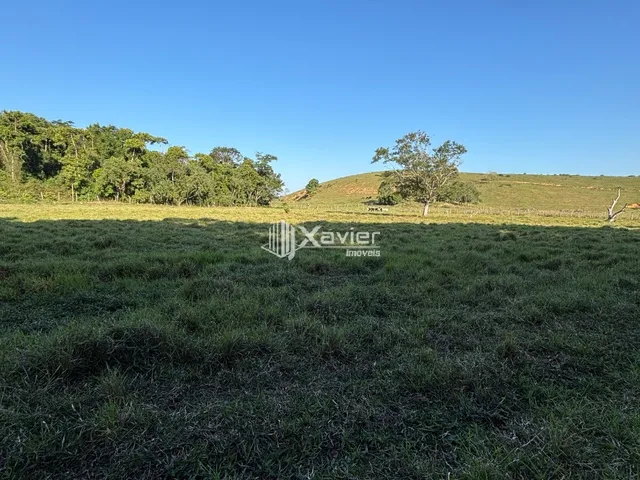 Imagem: O Terreno Rural com 3,26 Alqueires Entre