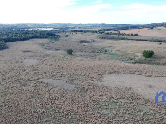 Imagem: Sitio/Fazenda À Venda, 25 Alqueires por