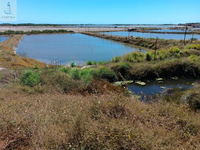 Imagem: Sitio à venda em Fortim-CE, bairro Pontal