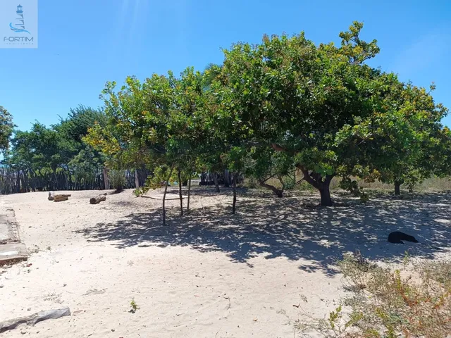 Imagem 15: Sitio à venda em Fortim-CE, bairro Pontal do Maceió: 3 quartos, 2 salas, 1 vaga de