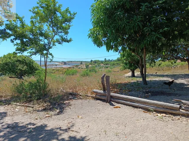 Imagem 11: Sitio à venda em Fortim-CE, bairro Pontal do Maceió: 3 quartos, 2 salas, 1 vaga de