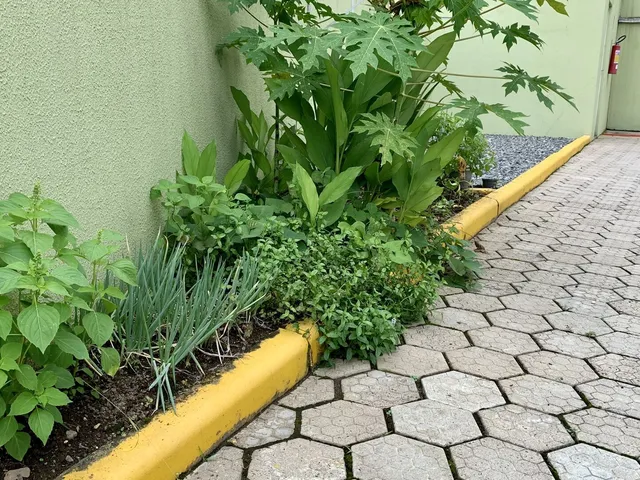 Imagem 11: Apartamento 3 quartos