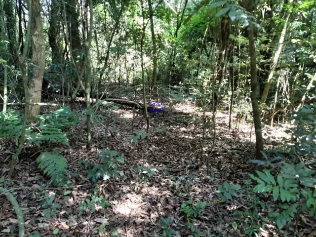 Imagem 15: CHÁCARA 7 MILM², ESCRITURADA, ACEITA VEICULO, ESTUDA PERMUTA OU PARCELAMENTO C